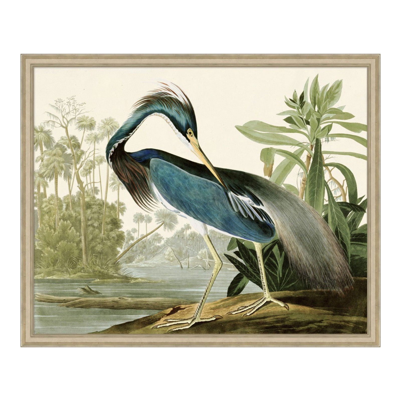 Blue Heron - The Kellogg Collection