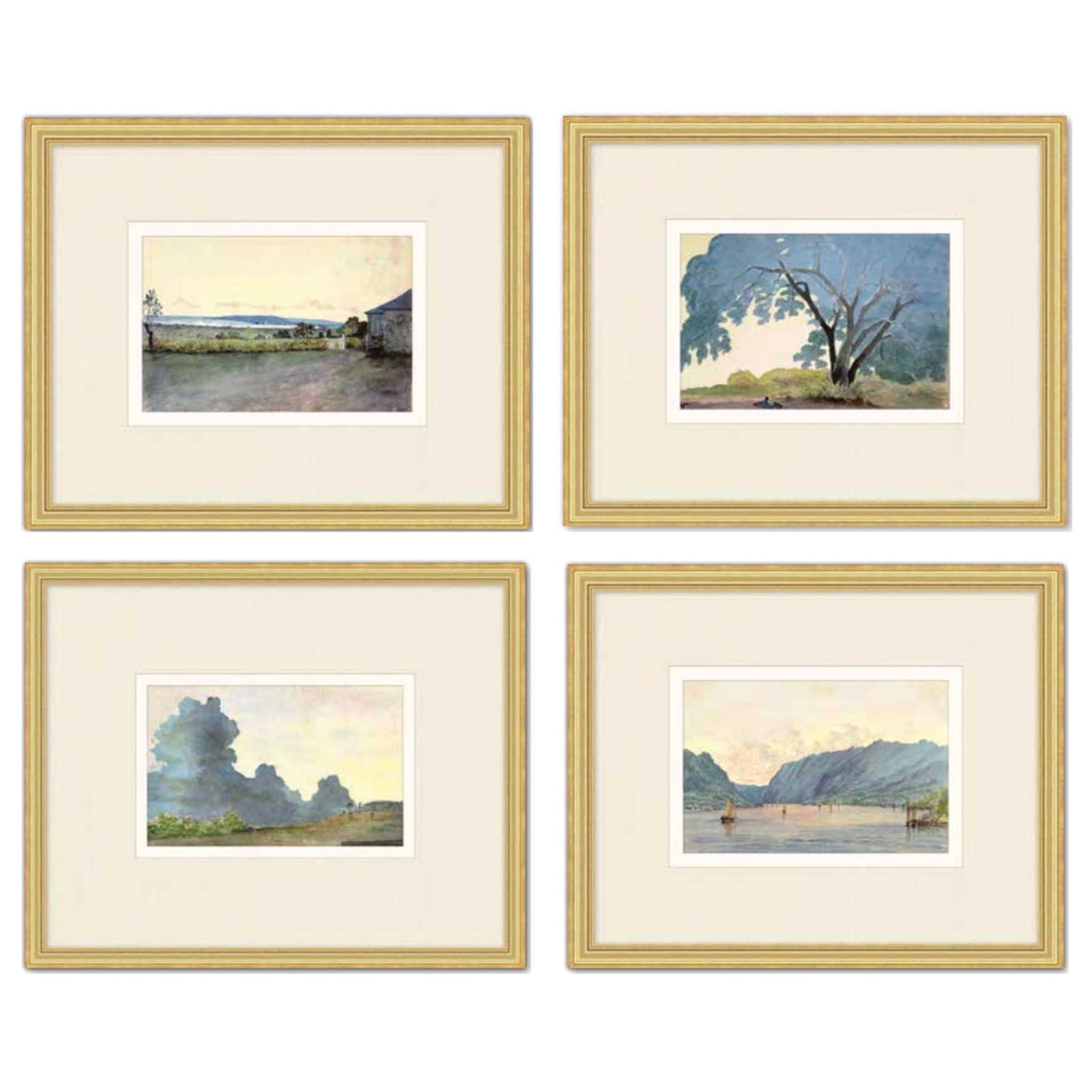 Caribbean Study - Series of 4 - The Kellogg Collection