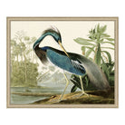 Blue Heron - The Kellogg Collection