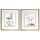 Herons - Series of 2 - The Kellogg Collection
