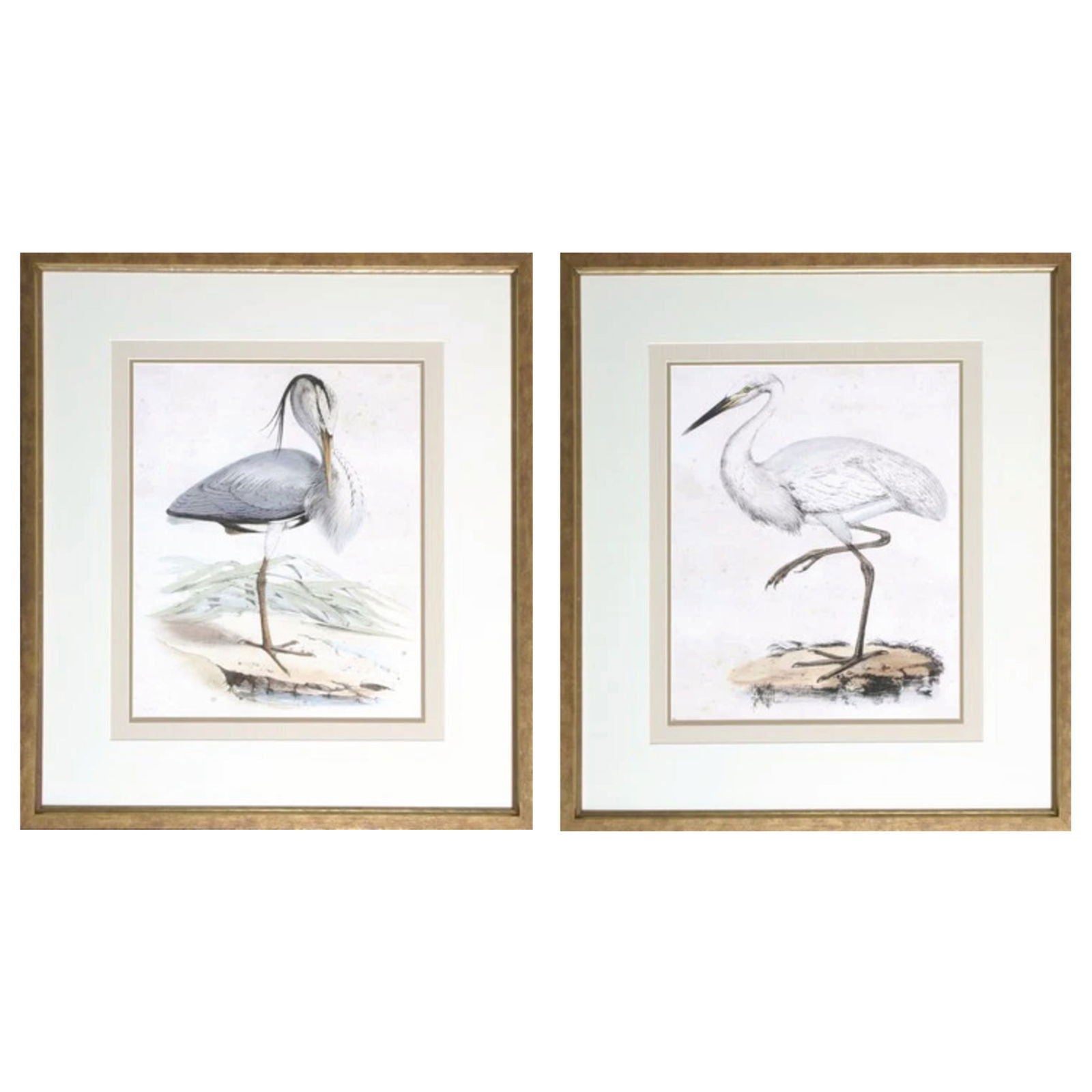 Herons - Series of 2 - The Kellogg Collection