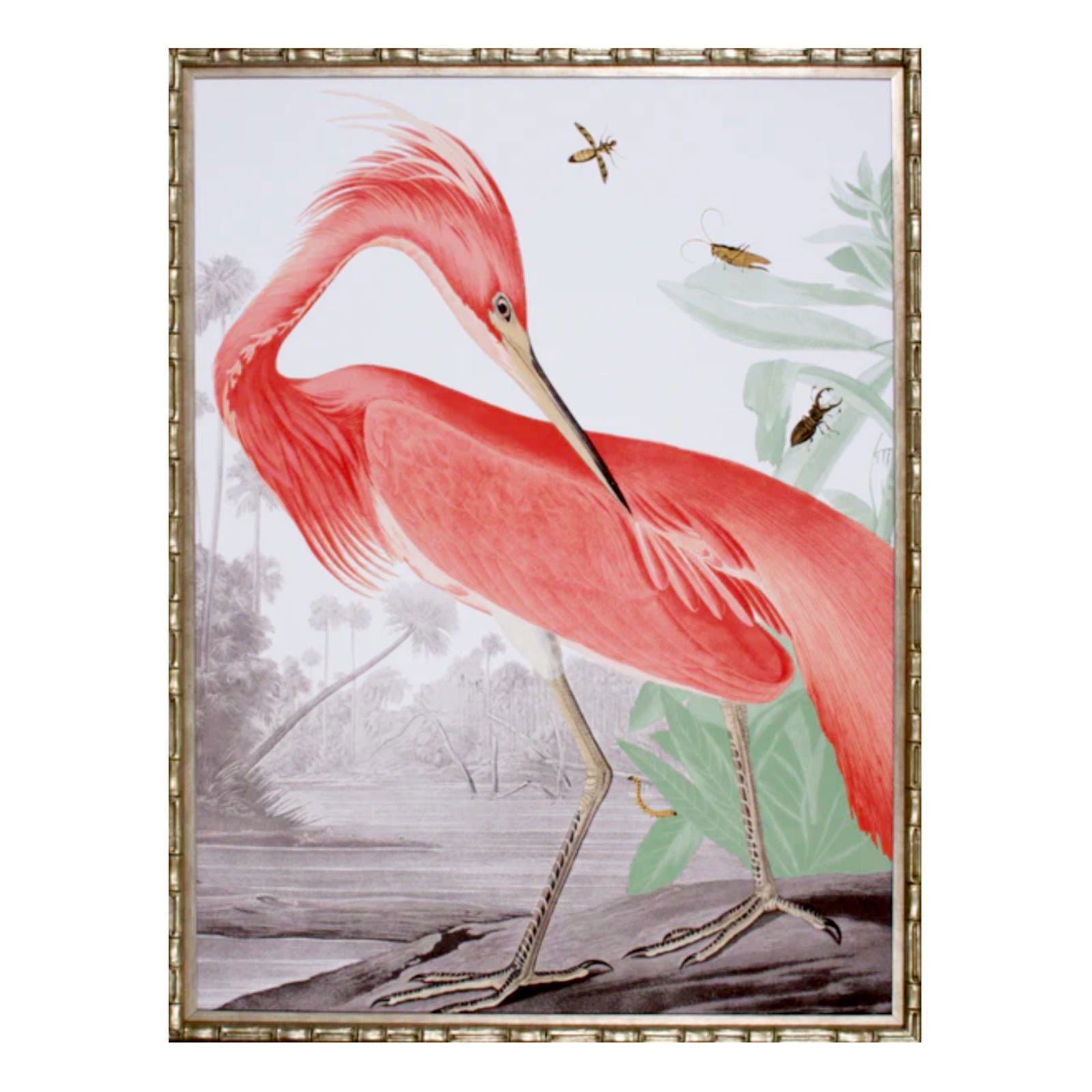 Tropical Heron - The Kellogg Collection